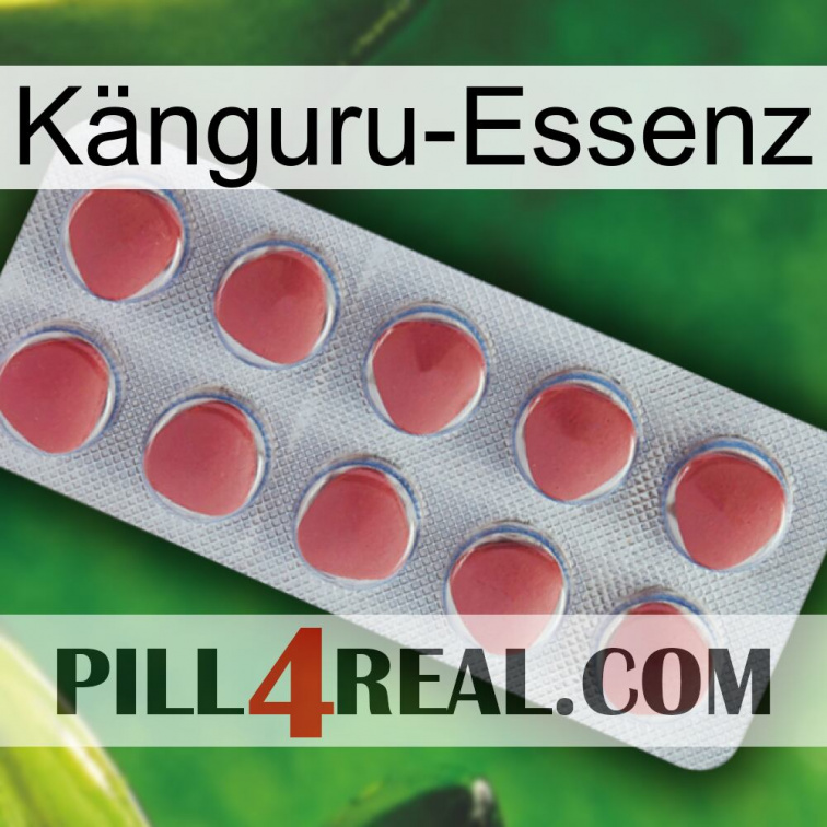 Känguru-Essenz 18